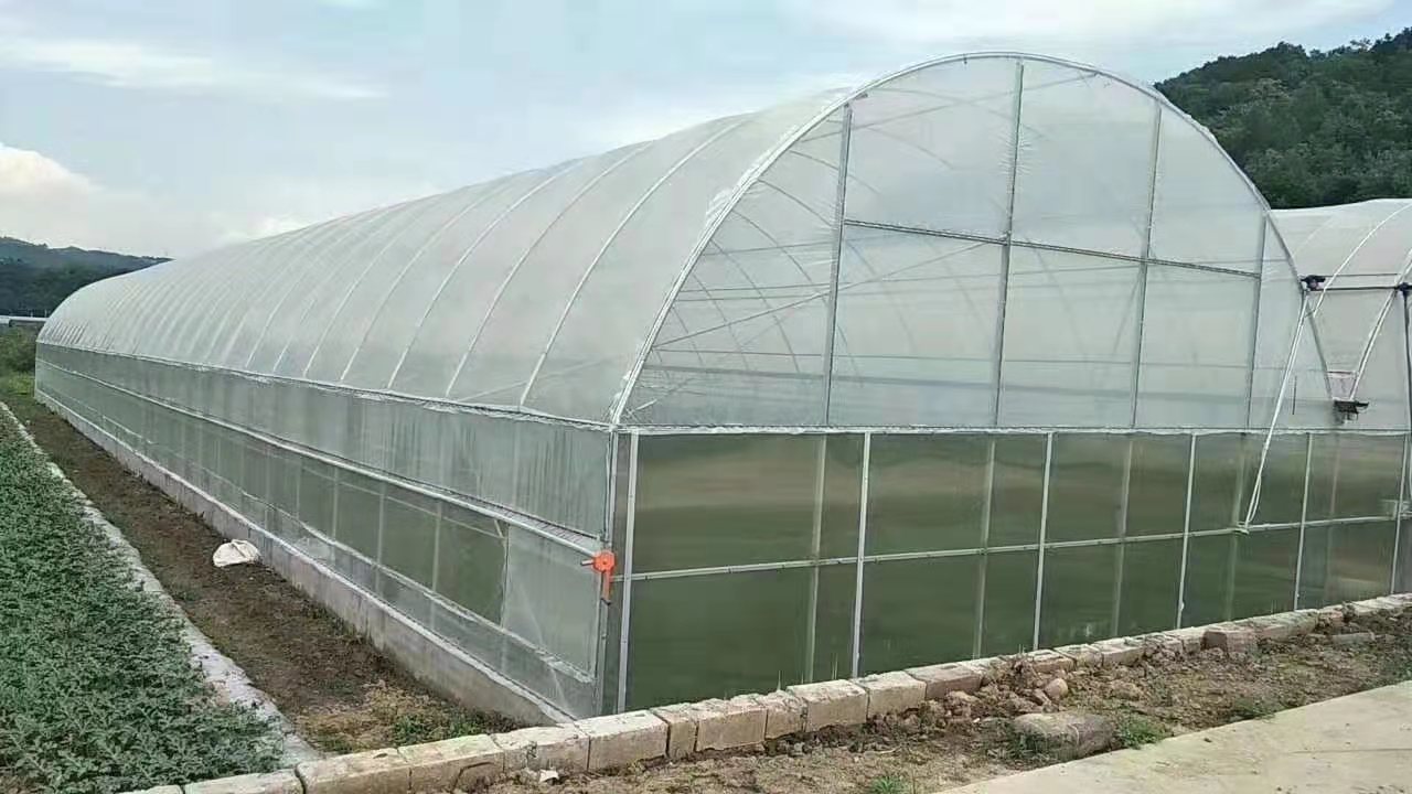 微信圖片_202103100910082.jpg 微信圖片_202103100910082.jpg